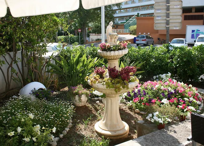 Apartment Don Miguel Port de Pollença