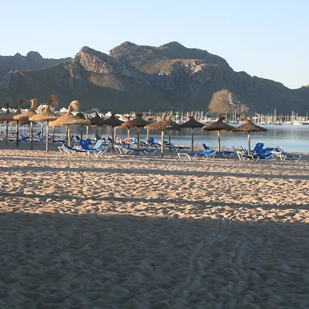 Don Miguel Apartament