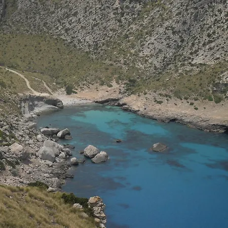 Apartament Don Miguel *