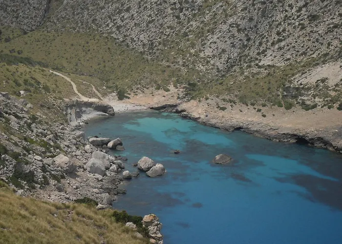 Apartament Don Miguel *